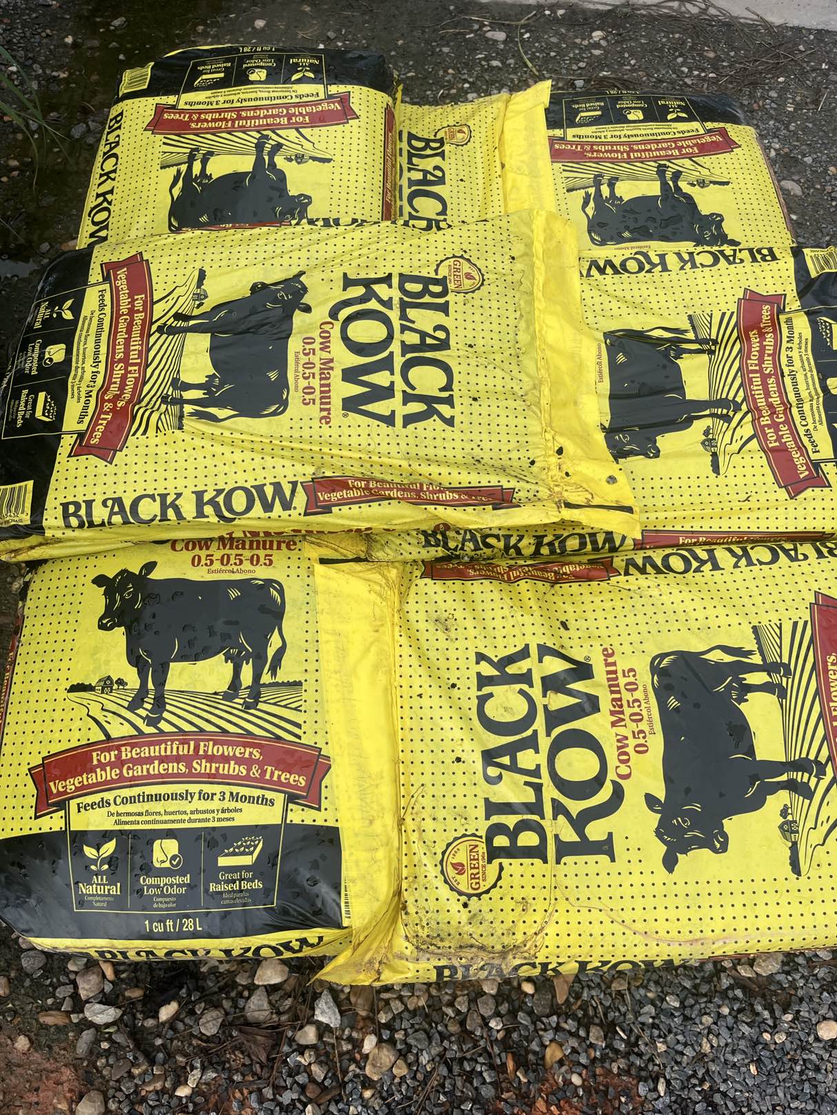 Black Kow Cow Manure