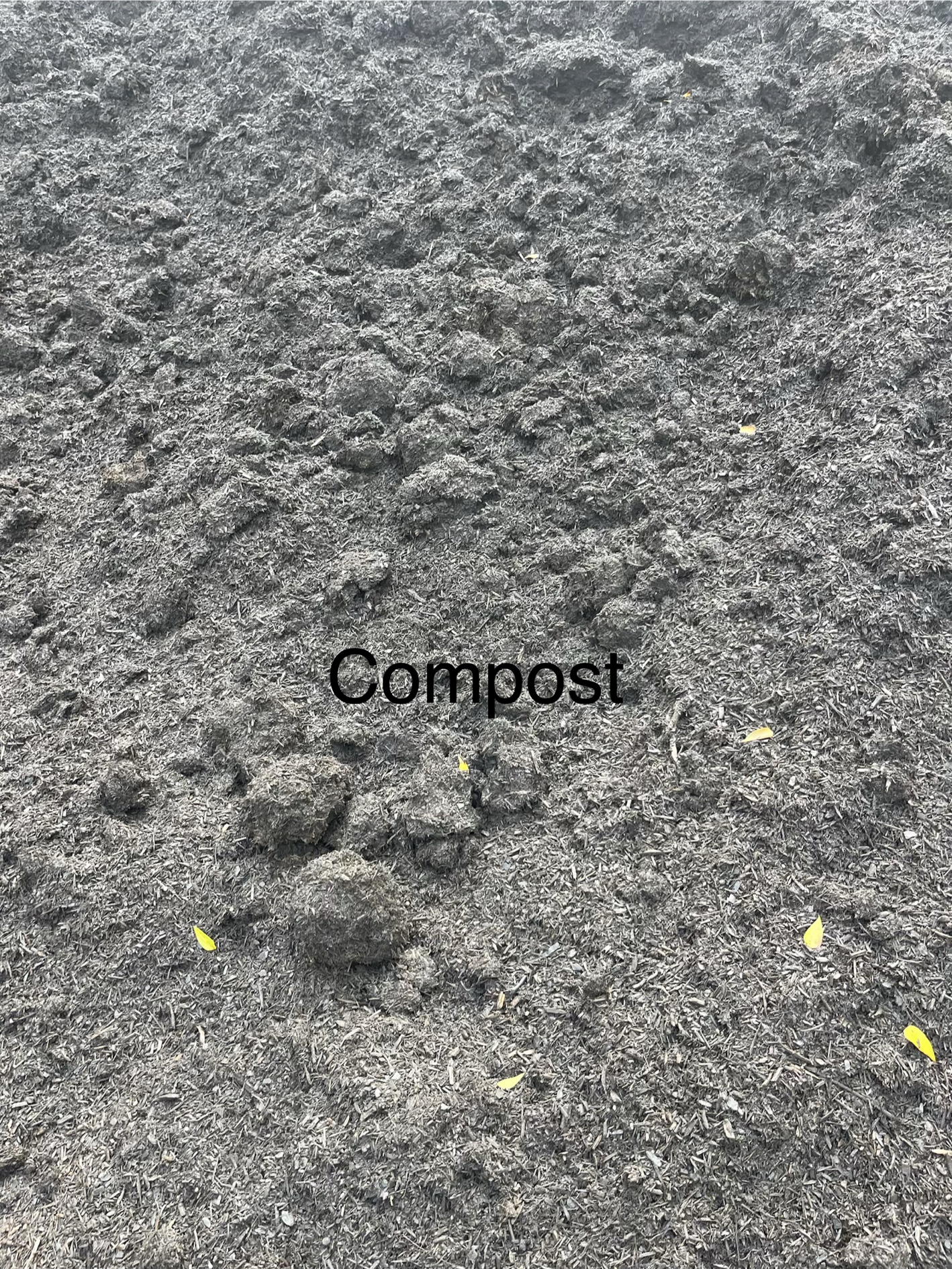 Compost