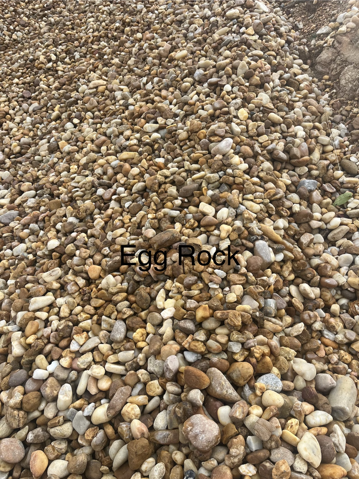 Egg Rock
