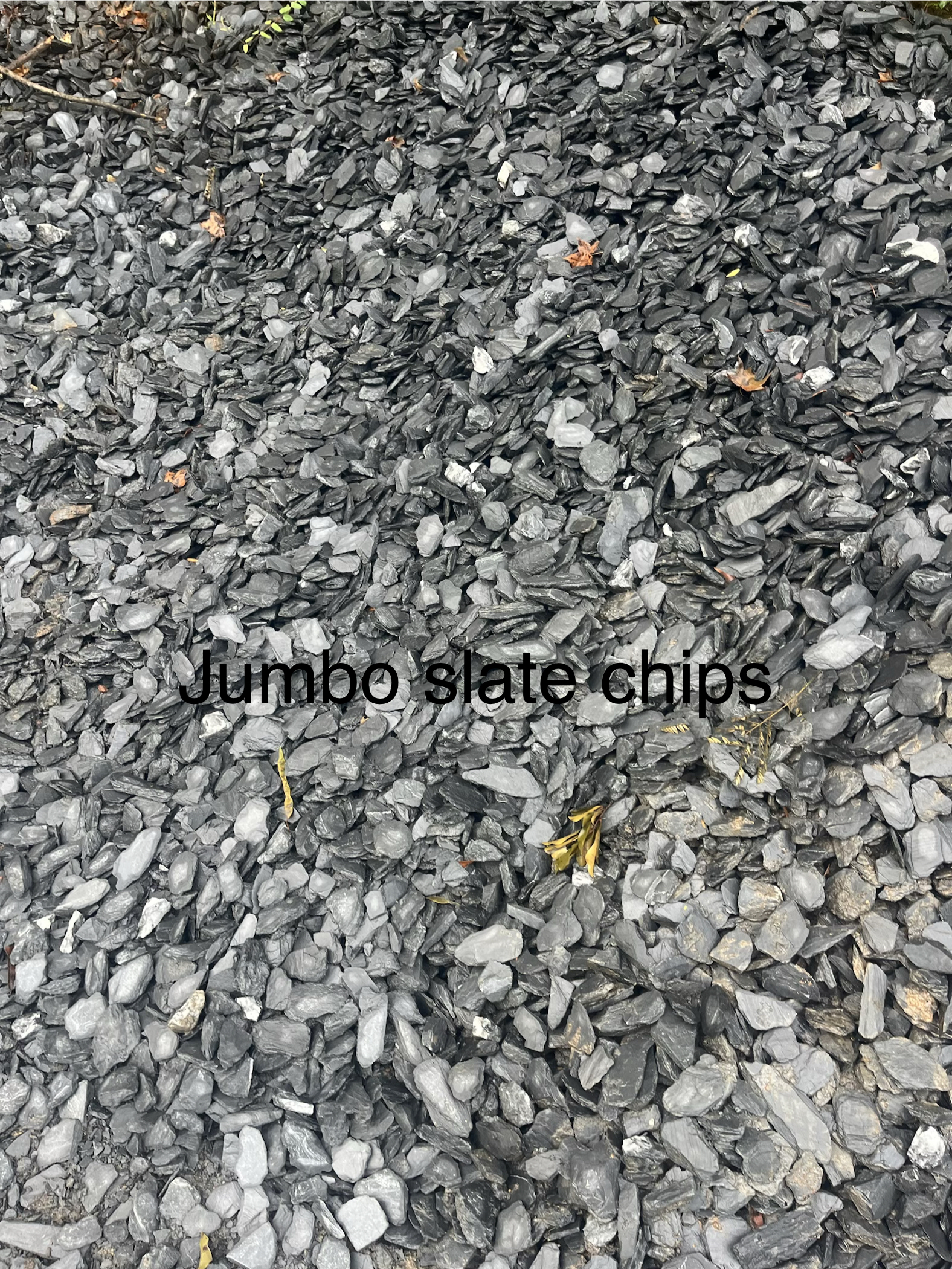 Slate Chips — Jumbo
