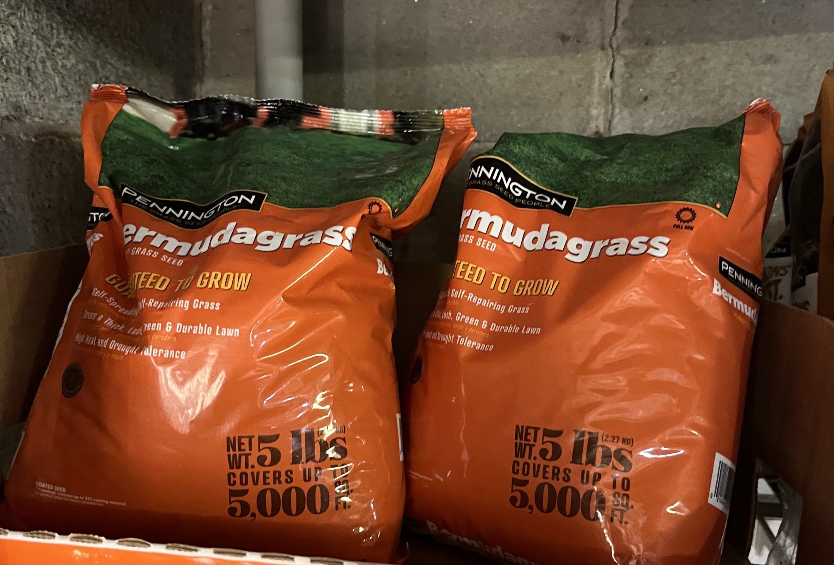 Pennington Bermudagrass