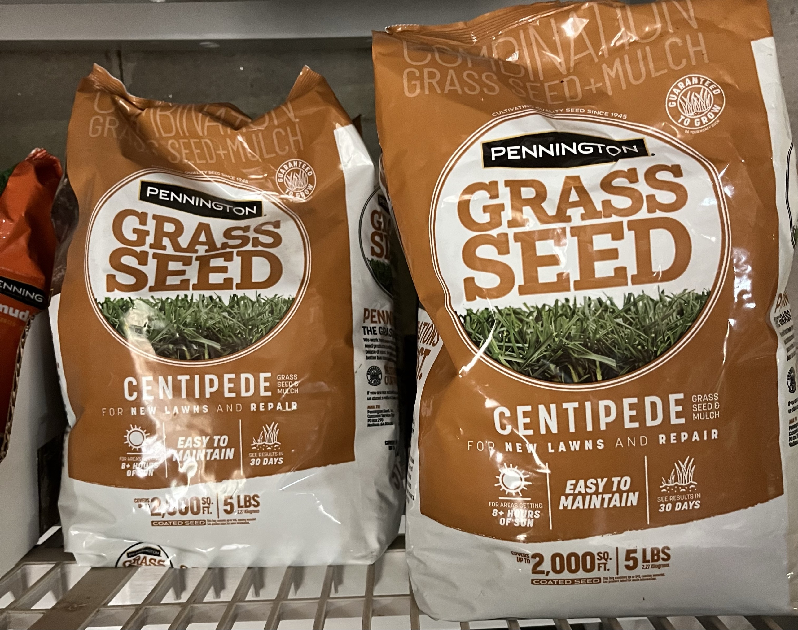 Pennington Centipede Grass Seed